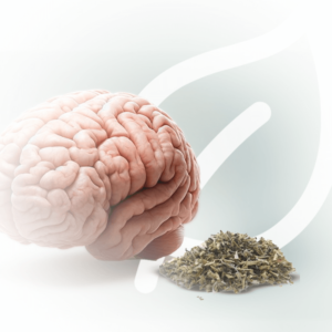 CEREBRO